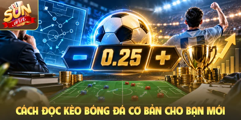 Cách đọc kèo bóng đá cơ bản cho bạn mới