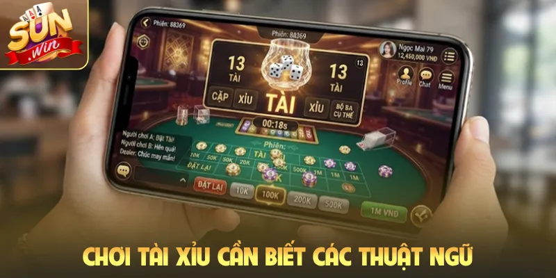 Chơi tài xỉu cần biết các thuật ngữ